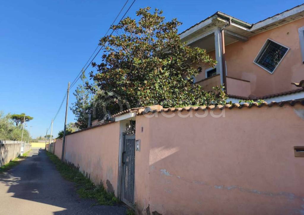 immagine annuncio 8 di 14