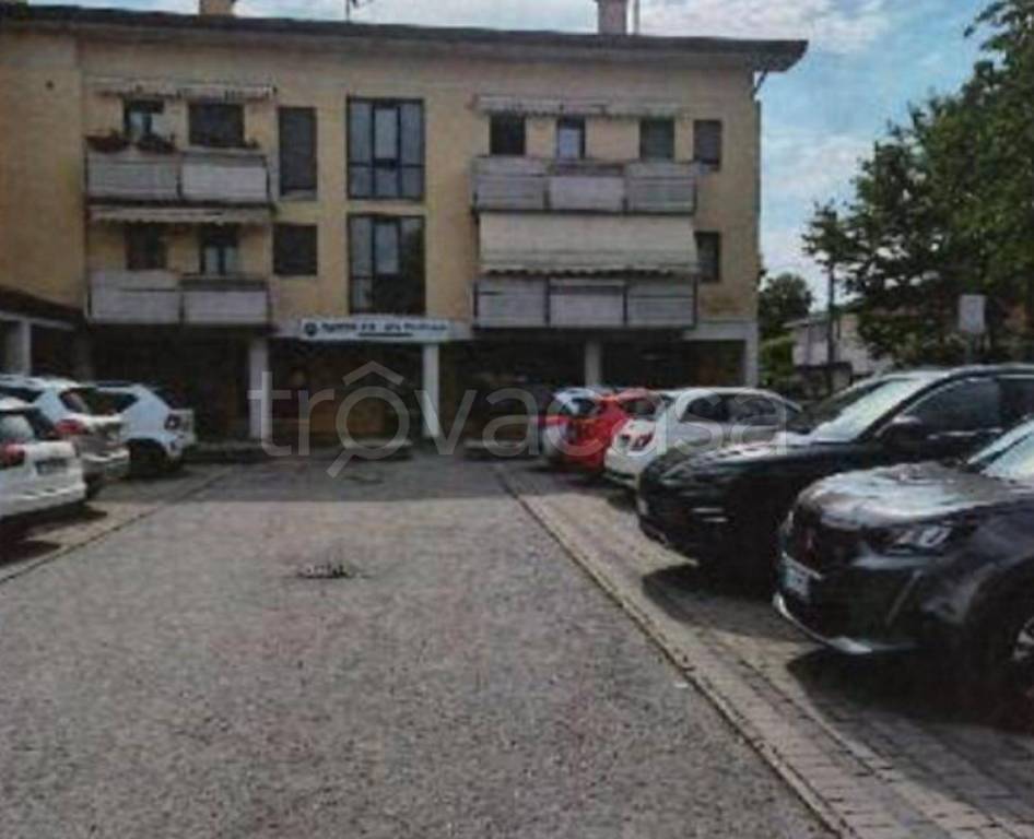 immagine annuncio 2 di 12