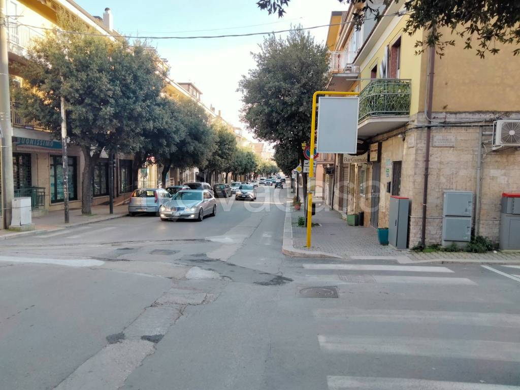 immagine annuncio 10 di 12