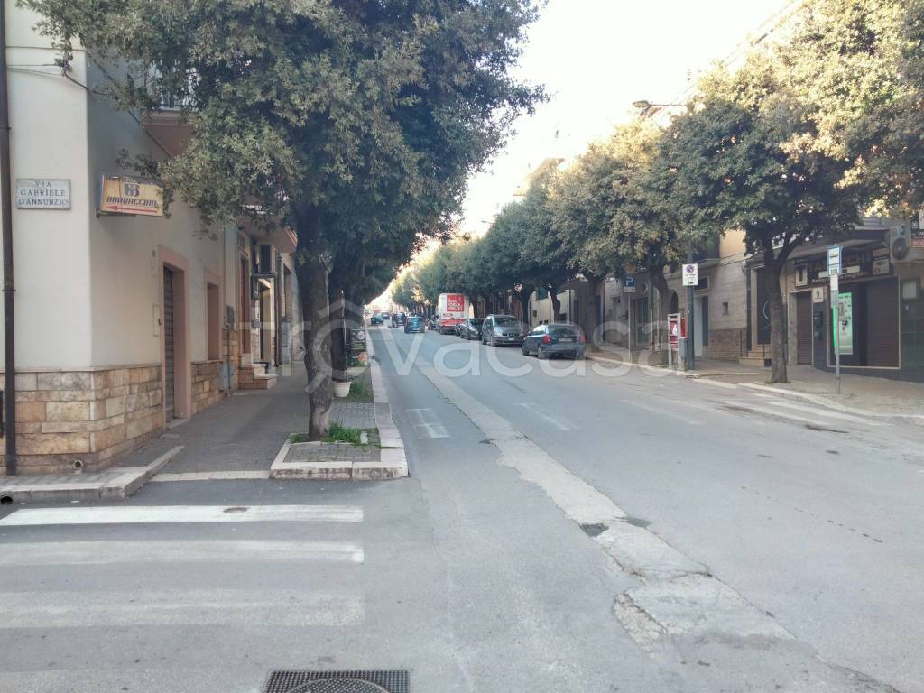 immagine annuncio 11 di 12