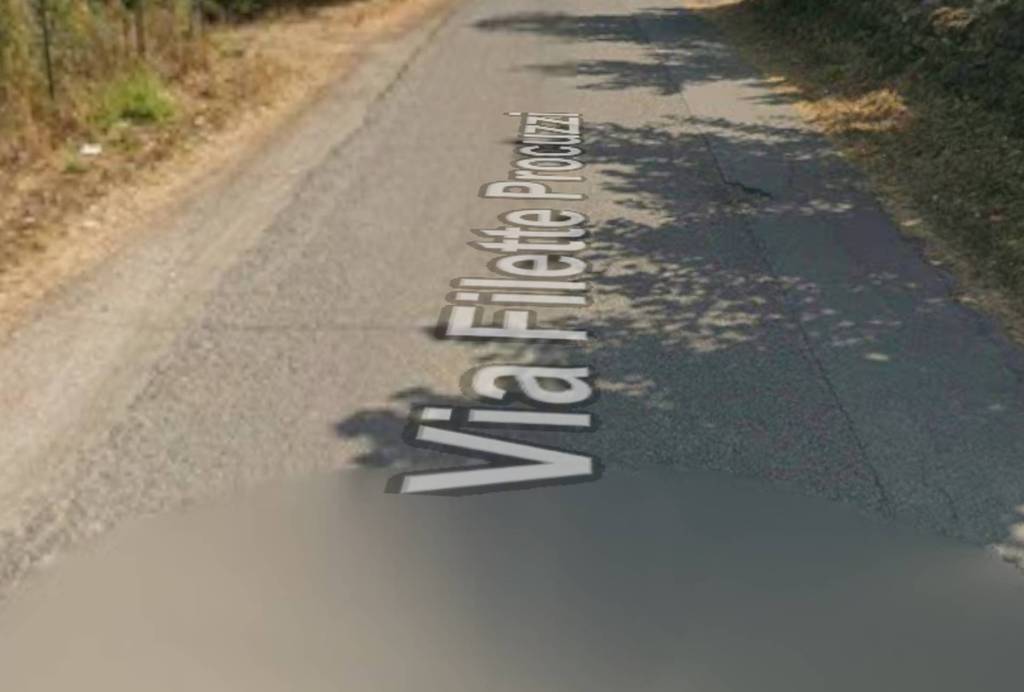immagine annuncio 1 di 11