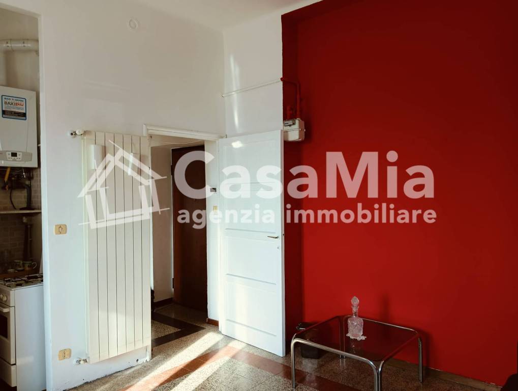 immagine annuncio 2 di 14