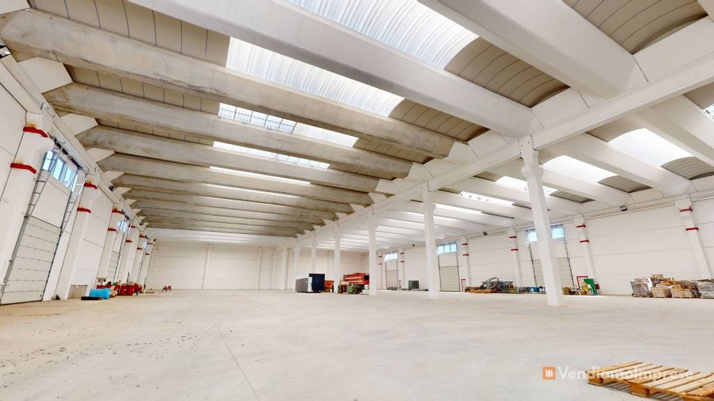 immagine annuncio 12 di 13