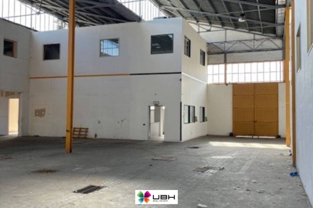 immagine annuncio 9 di 13