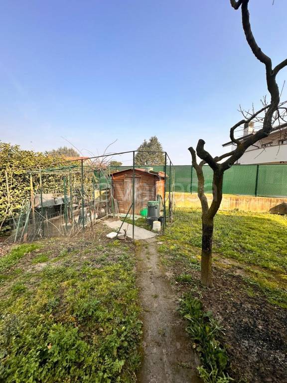 immagine annuncio 7 di 15