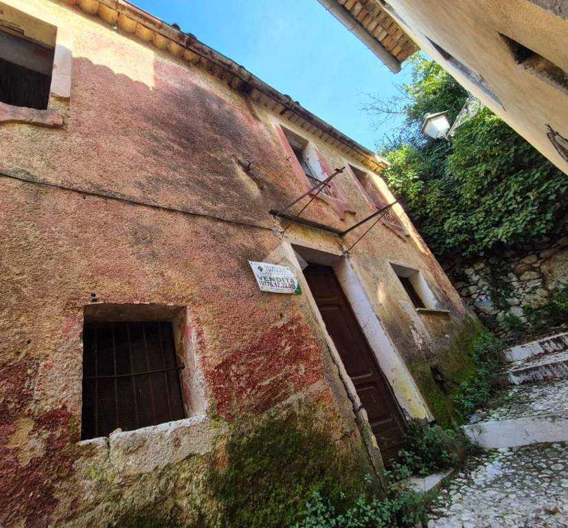 immagine annuncio 4 di 9