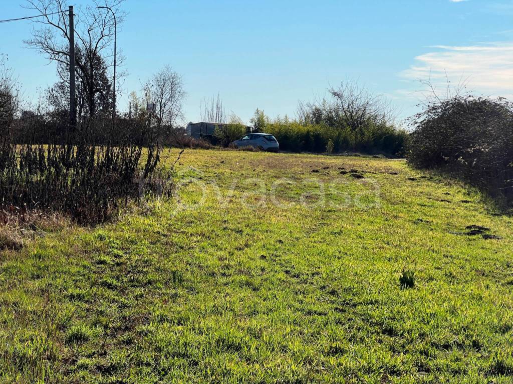 immagine annuncio 6 di 14