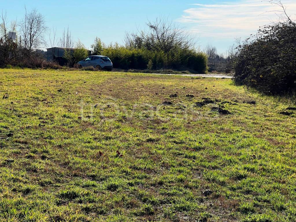 immagine annuncio 8 di 14