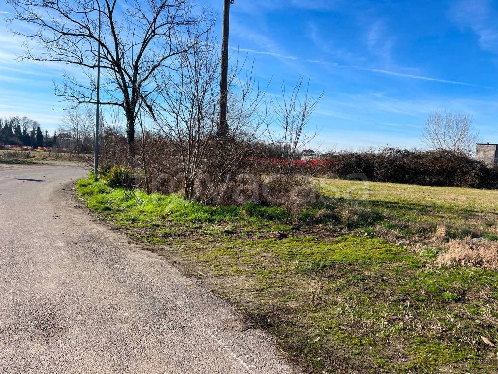 immagine annuncio 9 di 14