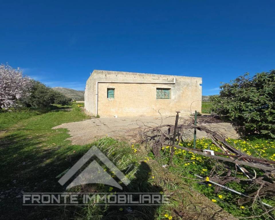 immagine annuncio 3 di 9