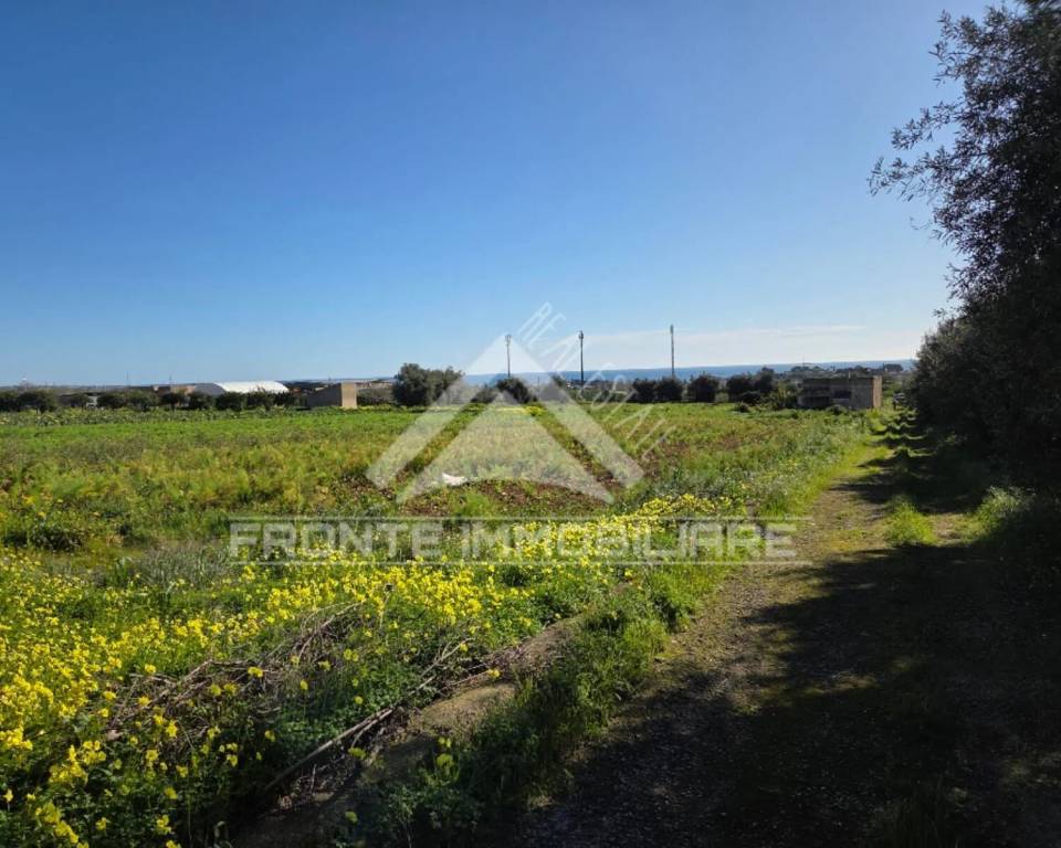 immagine annuncio 7 di 9