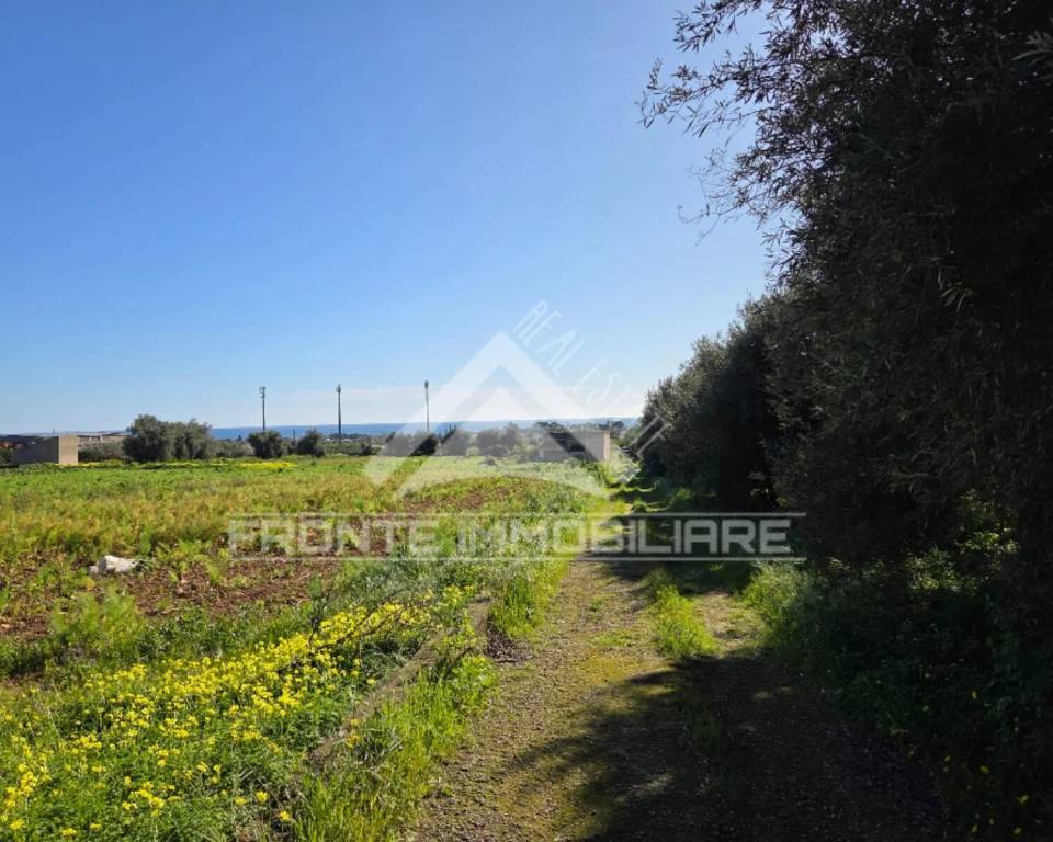 immagine annuncio 8 di 9