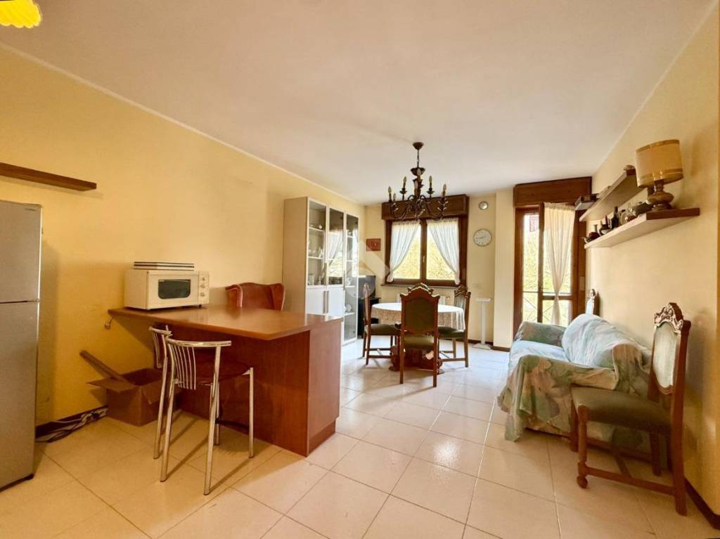 immagine annuncio 12 di 15