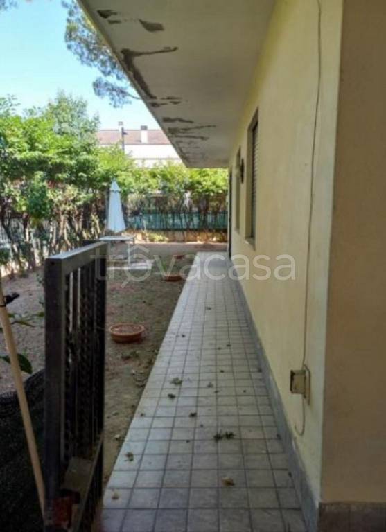 immagine annuncio 5 di 12