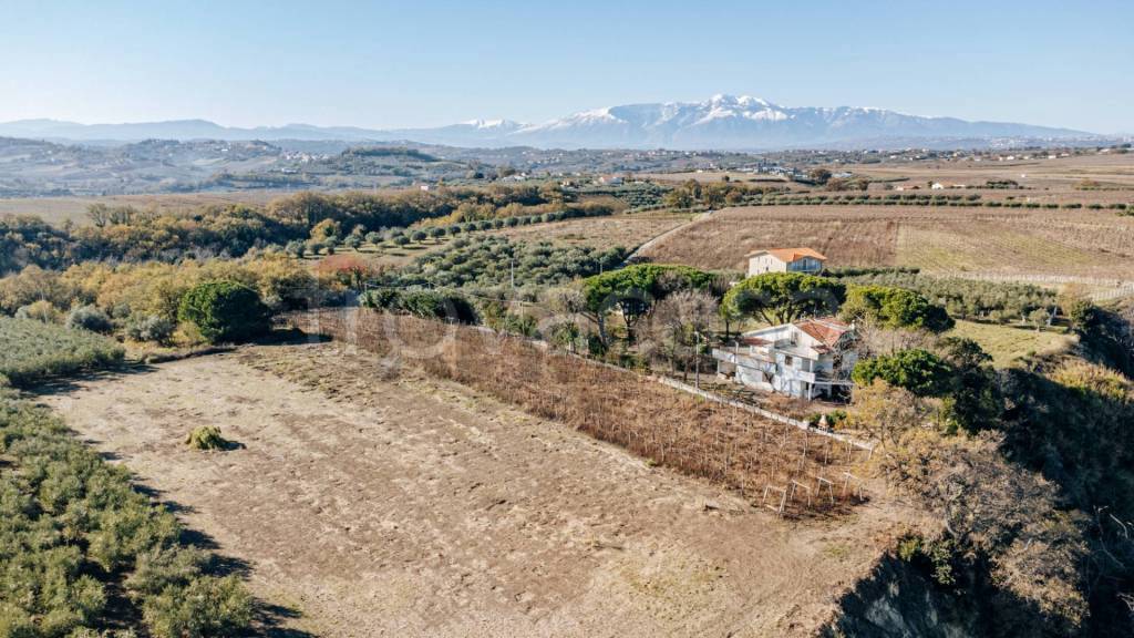 immagine annuncio 2 di 6