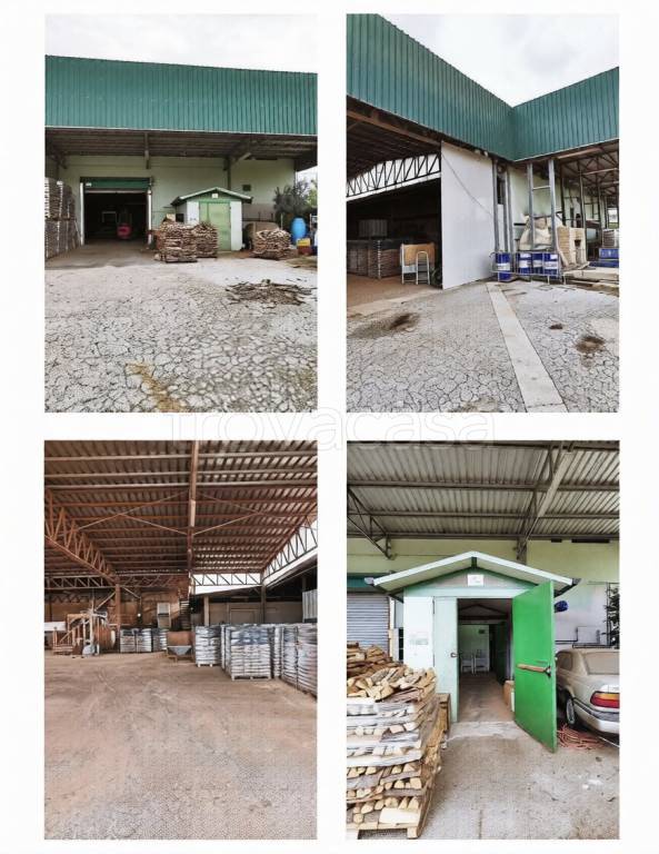 immagine annuncio 1 di 2