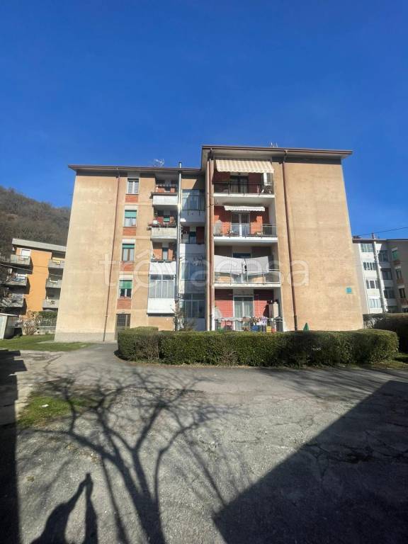 immagine annuncio 3 di 7