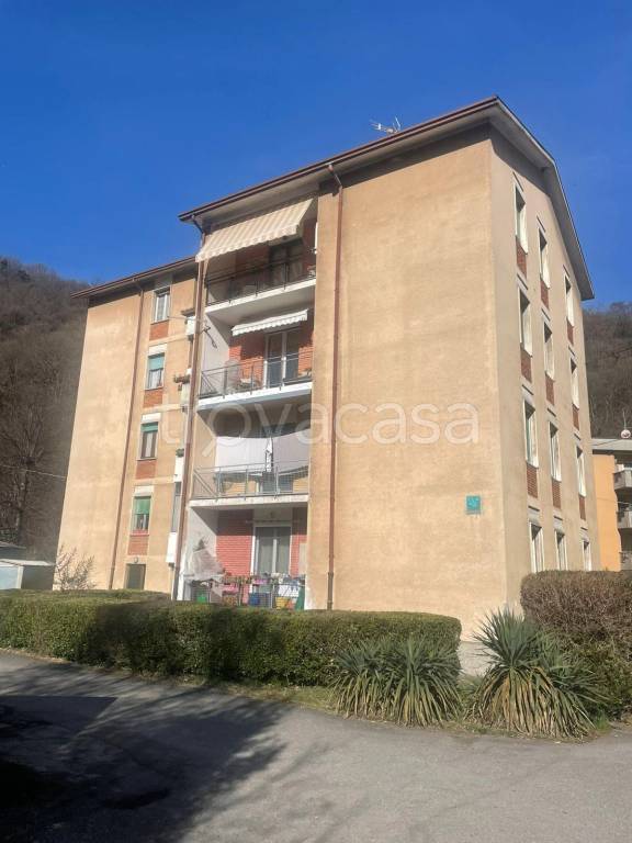 immagine annuncio 4 di 7