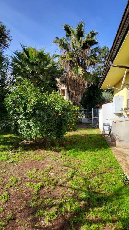 immagine annuncio 2 di 9