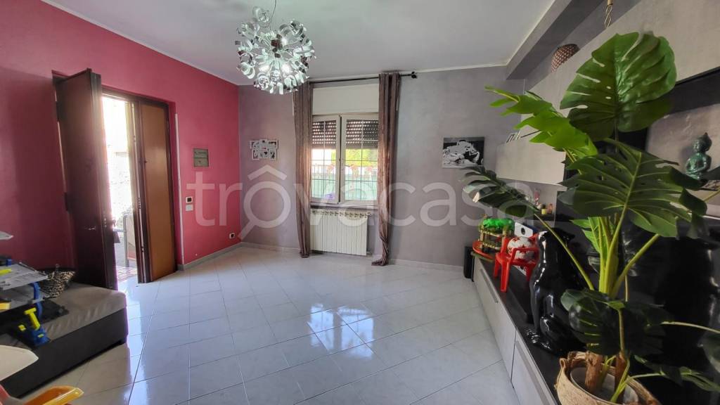 immagine annuncio 4 di 9