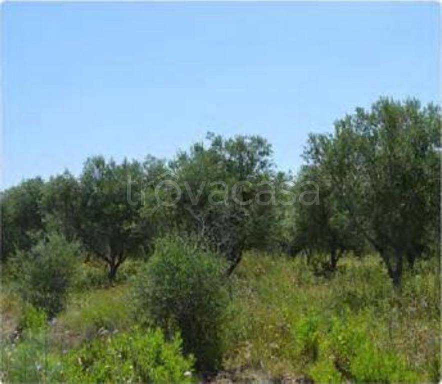 immagine annuncio 5 di 7