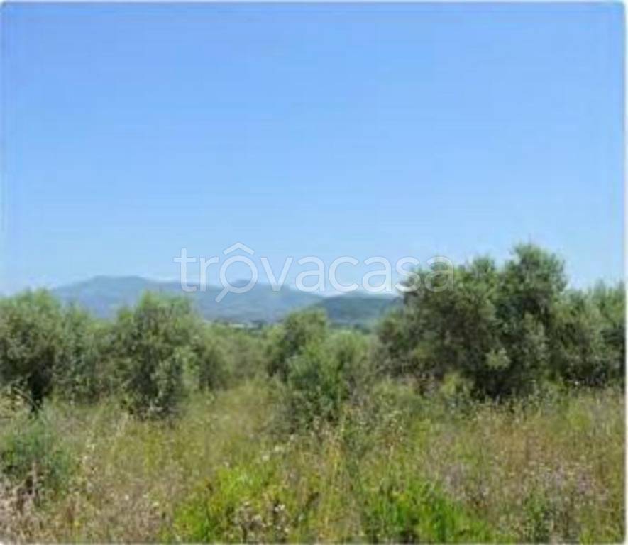 immagine annuncio 6 di 7