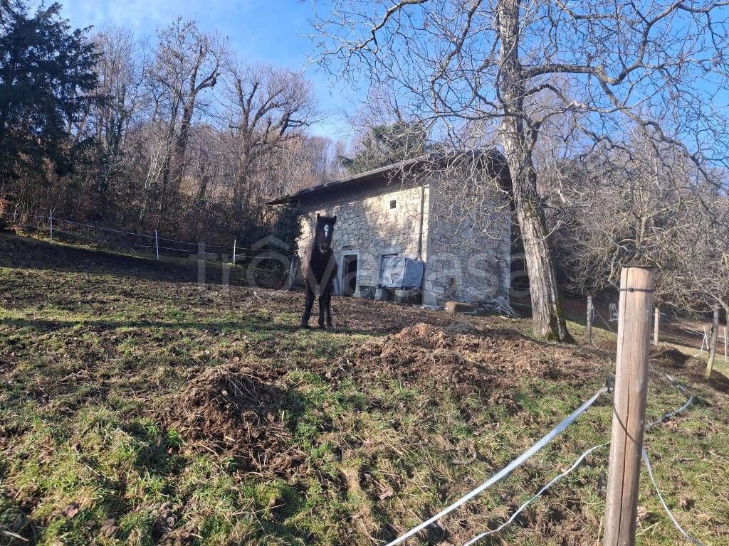 immagine annuncio 2 di 8