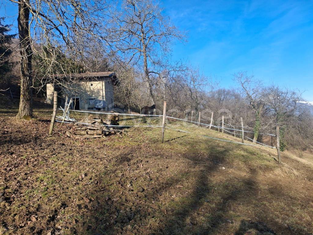 immagine annuncio 3 di 8