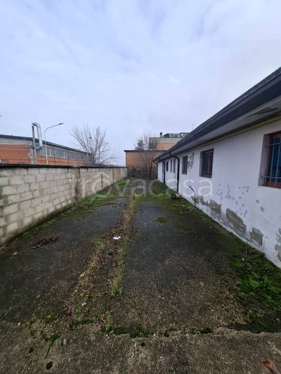 immagine annuncio 3 di 15