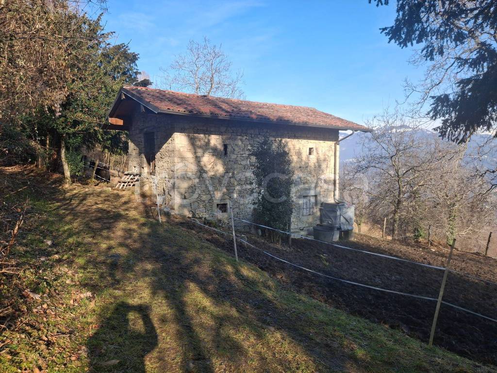 immagine annuncio 4 di 8