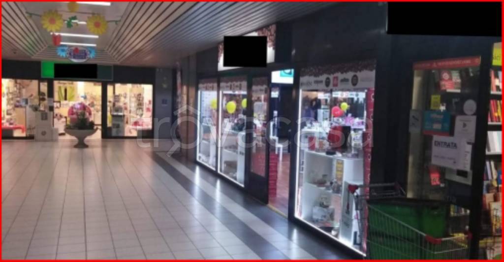 immagine annuncio 4 di 12