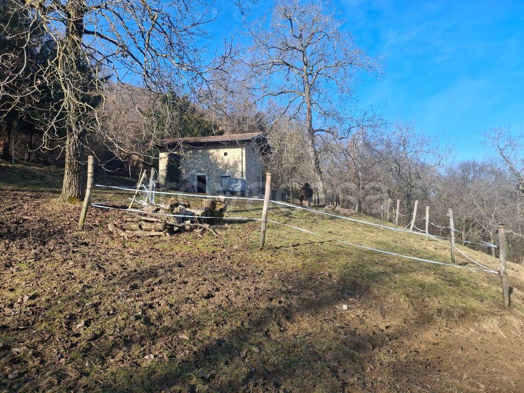 immagine annuncio 6 di 8