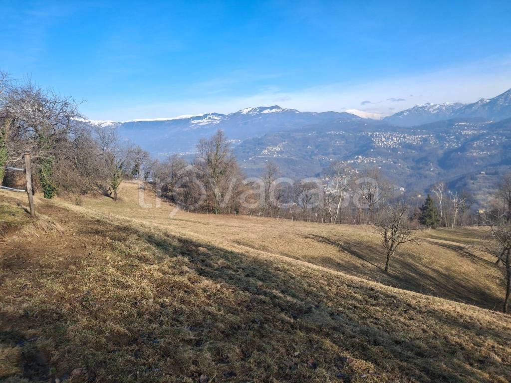 immagine annuncio 7 di 8