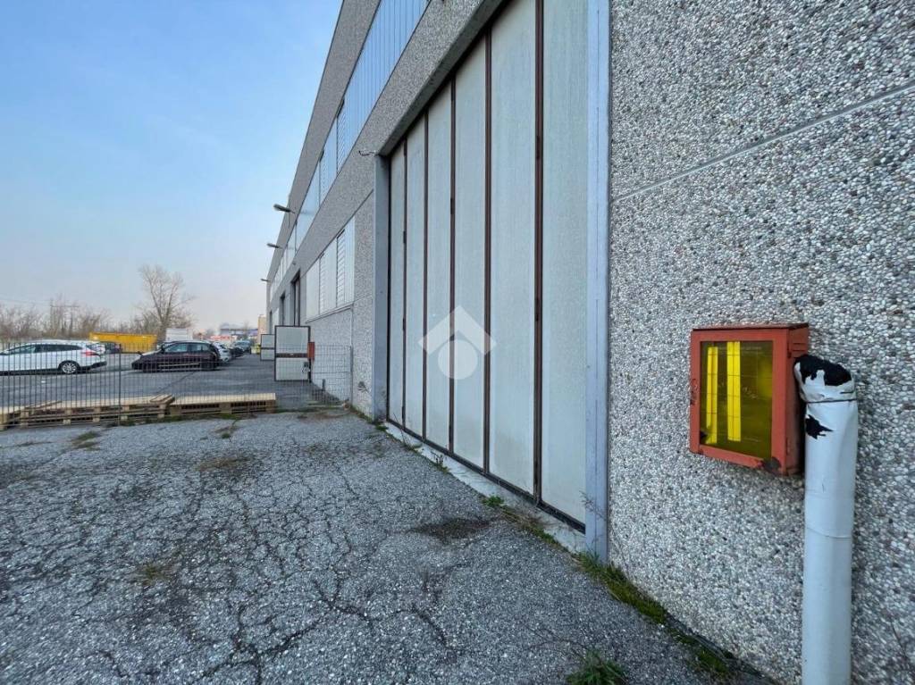 immagine annuncio 7 di 15