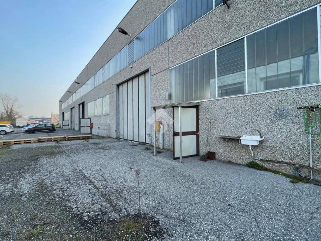 immagine annuncio 8 di 15