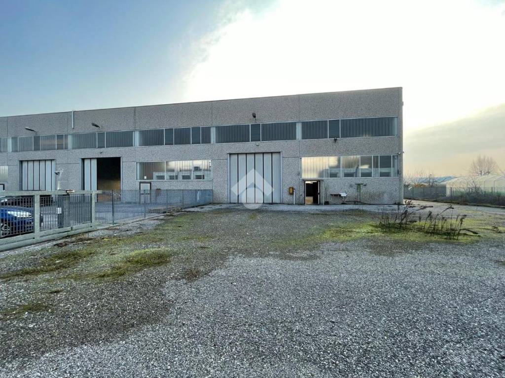 immagine annuncio 9 di 15