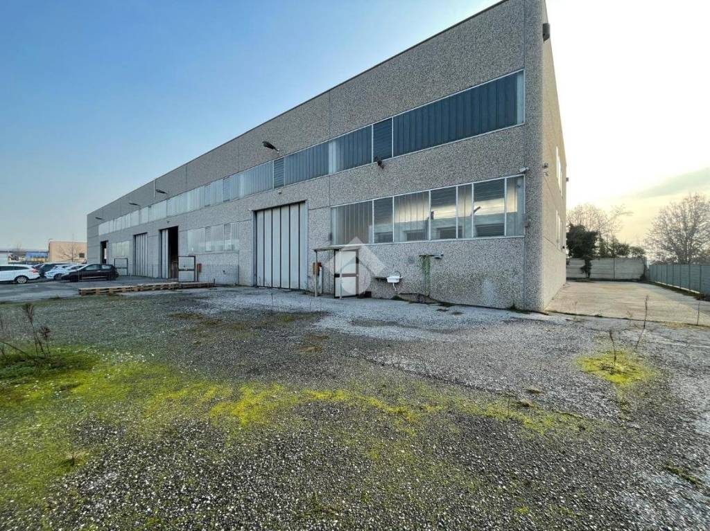 immagine annuncio 14 di 15