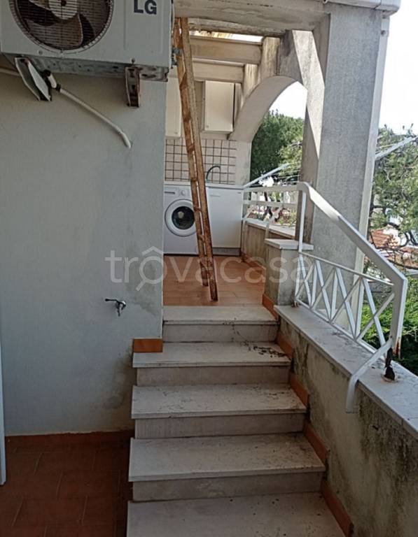 immagine annuncio 7 di 12