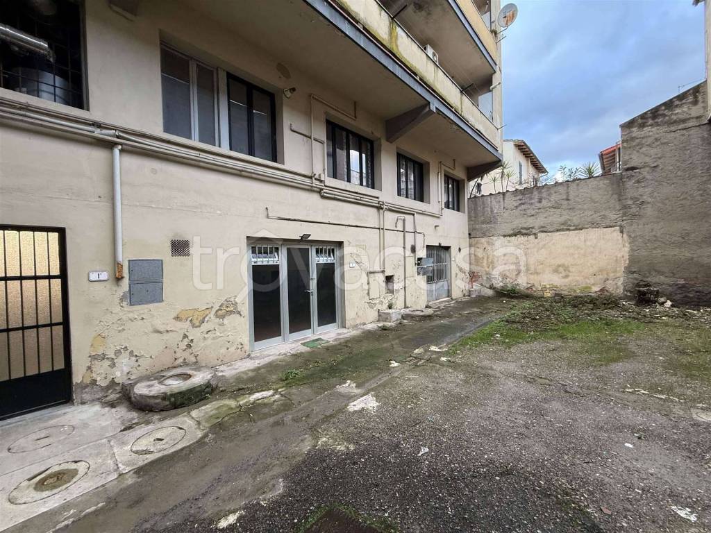 immagine annuncio 9 di 12