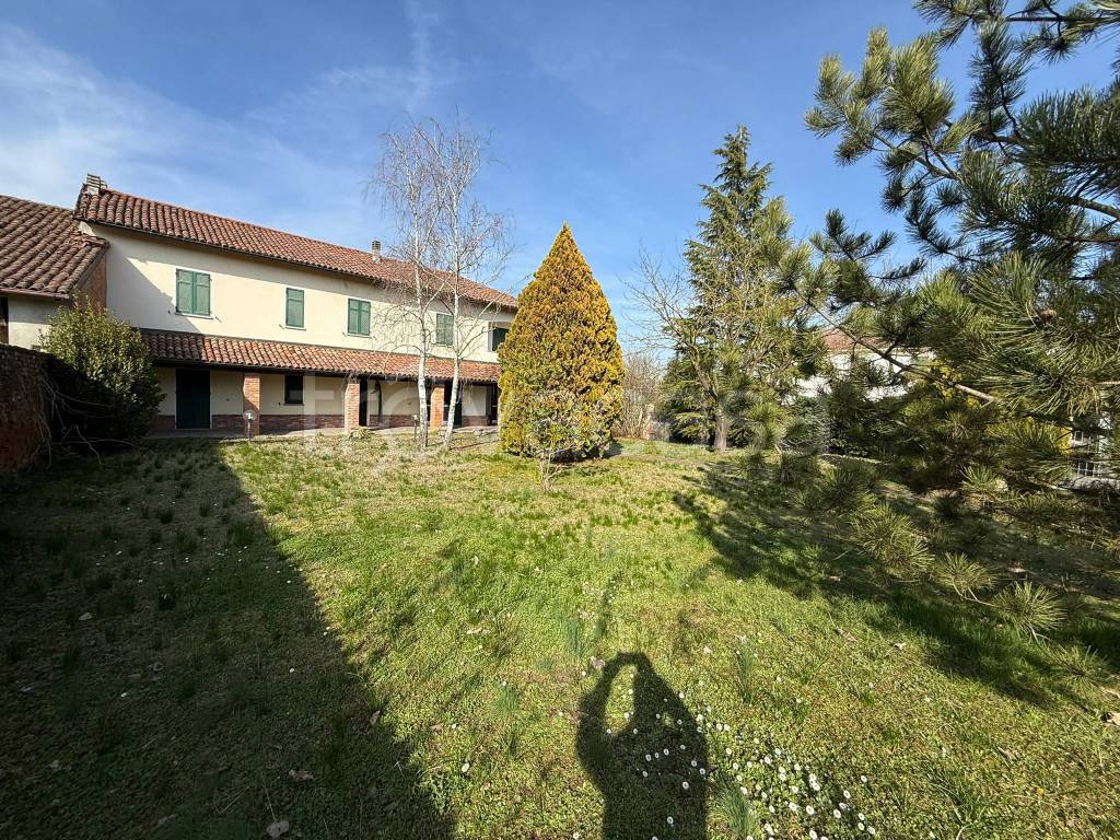 immagine annuncio 1 di 15