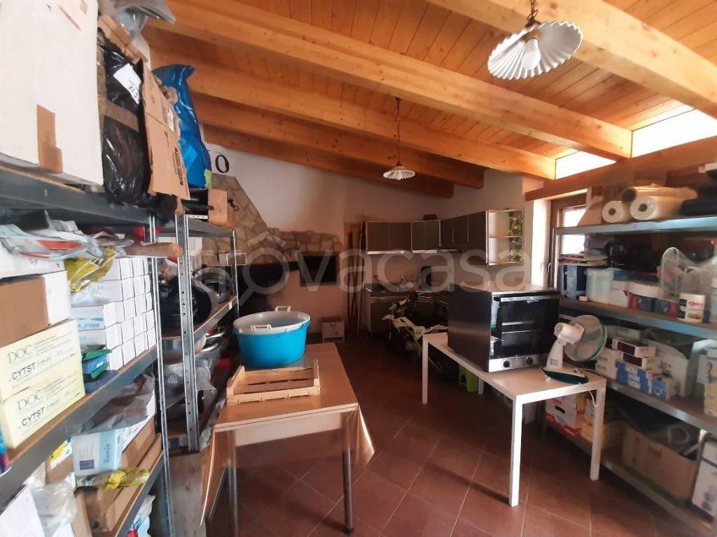 immagine annuncio 6 di 12