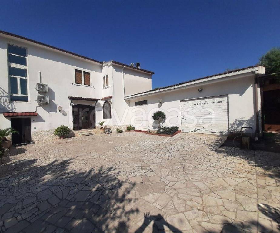 immagine annuncio 9 di 12