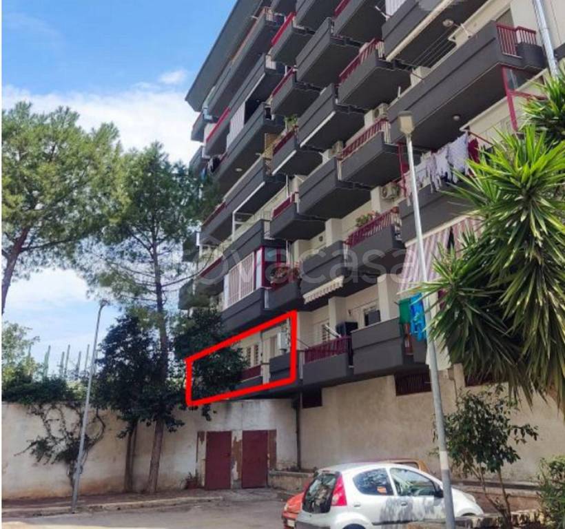 immagine annuncio 1 di 12