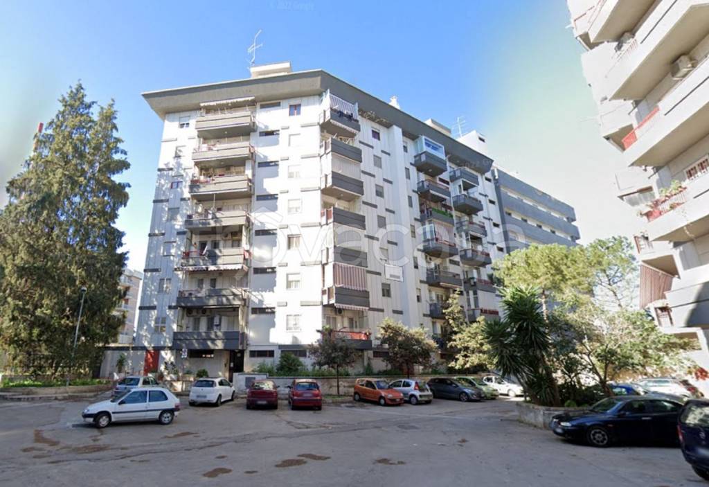 immagine annuncio 6 di 12