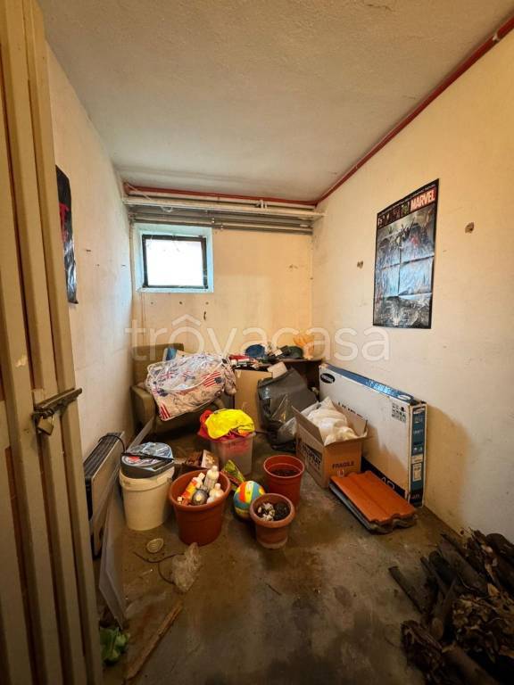 immagine annuncio 12 di 14