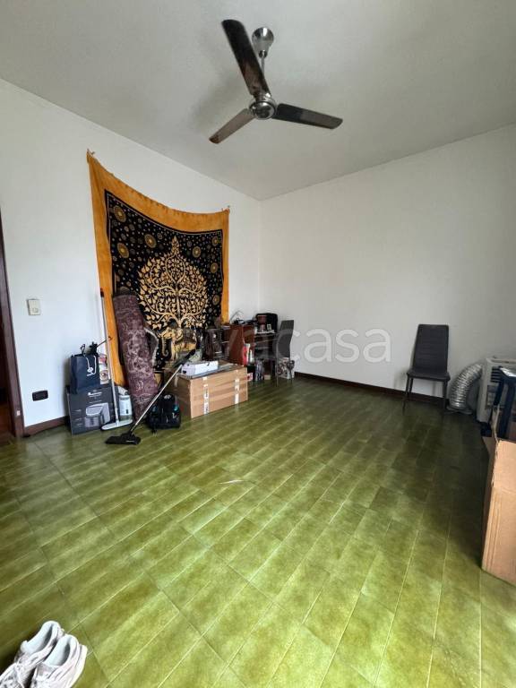 immagine annuncio 7 di 14