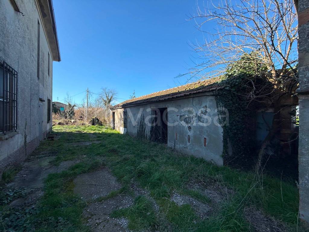 immagine annuncio 6 di 15