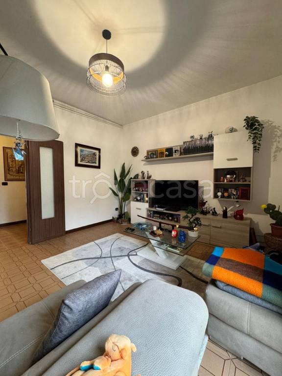 immagine annuncio 1 di 14