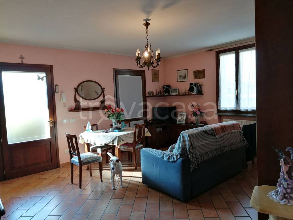 immagine annuncio 3 di 14