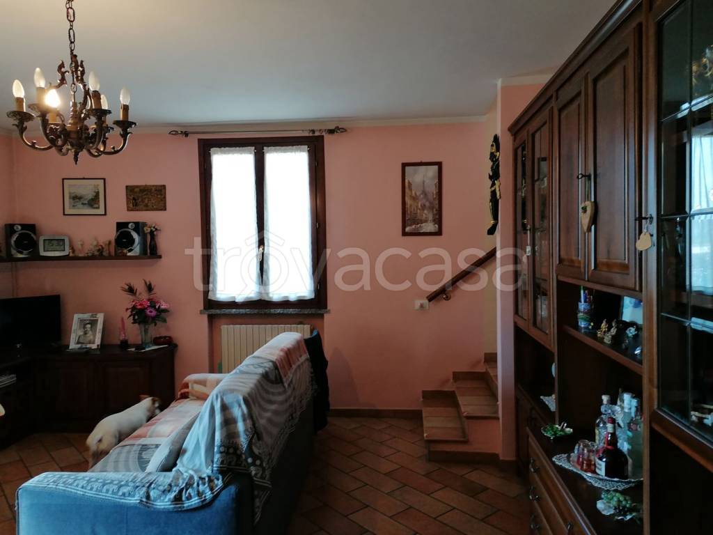 immagine annuncio 5 di 14